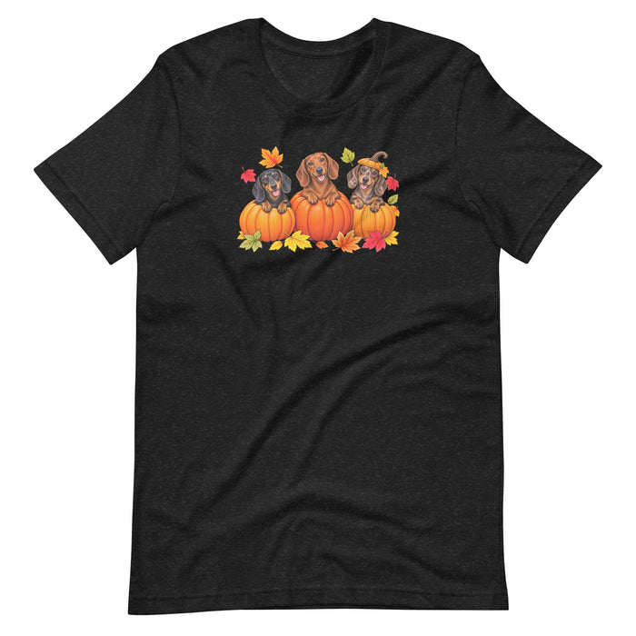 Fall Collection